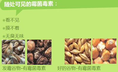 洦ɼù-400.jpg