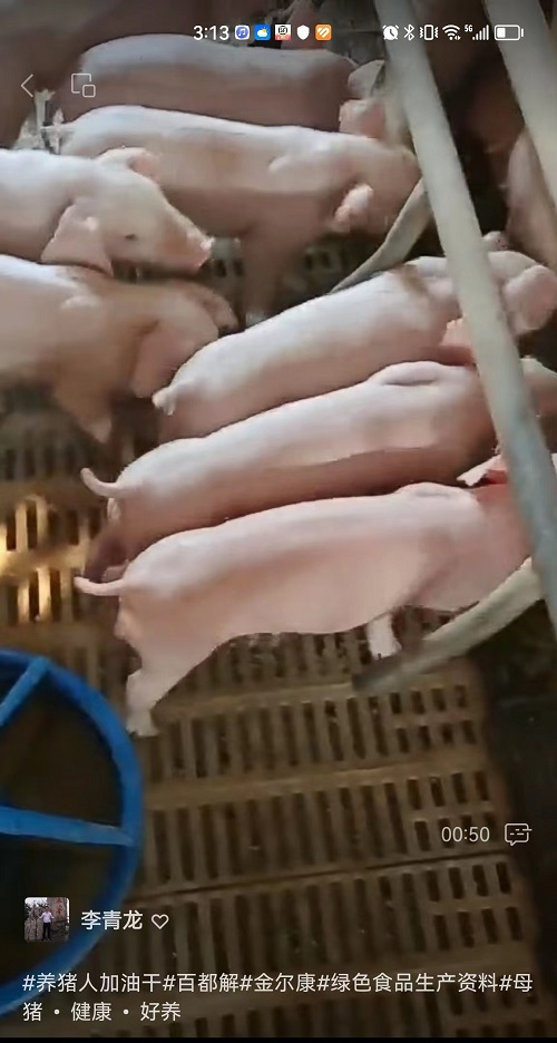 20-ĸƻ.jpg